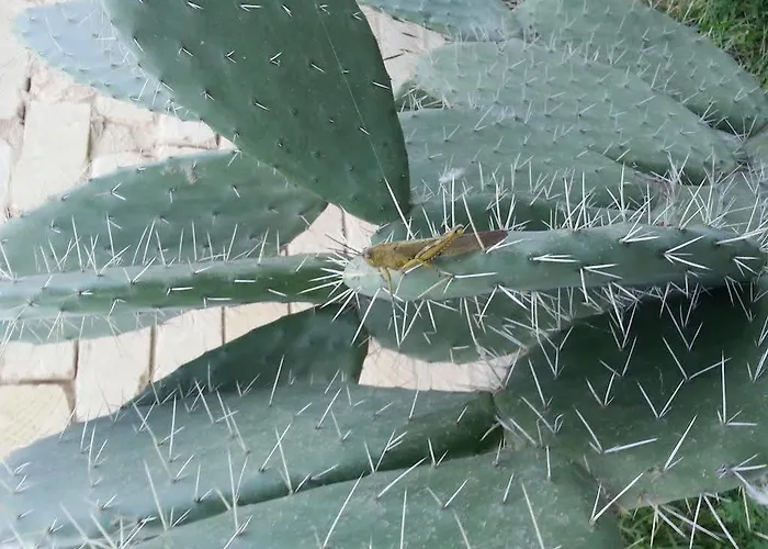 Pia Frühstückspension 4*